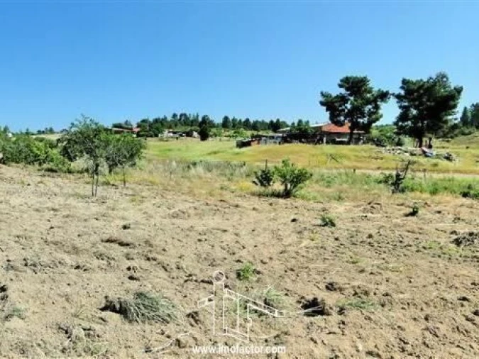 Quinta T0 para Venda em Freixial e Juncal do Campo Foto 17