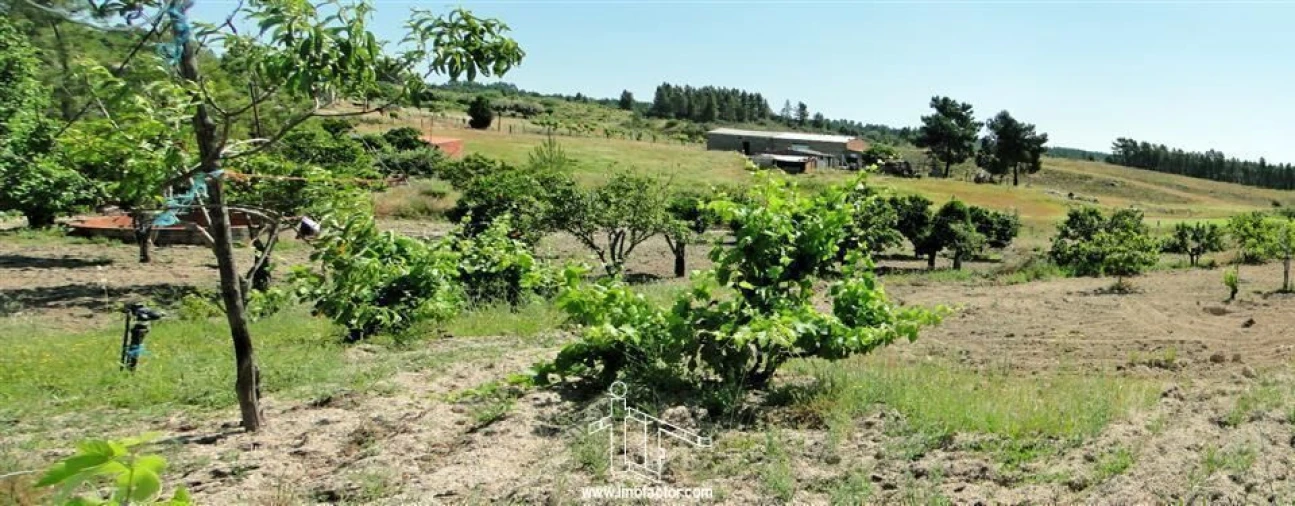 Quinta T0 para Venda em Freixial e Juncal do Campo Foto 25