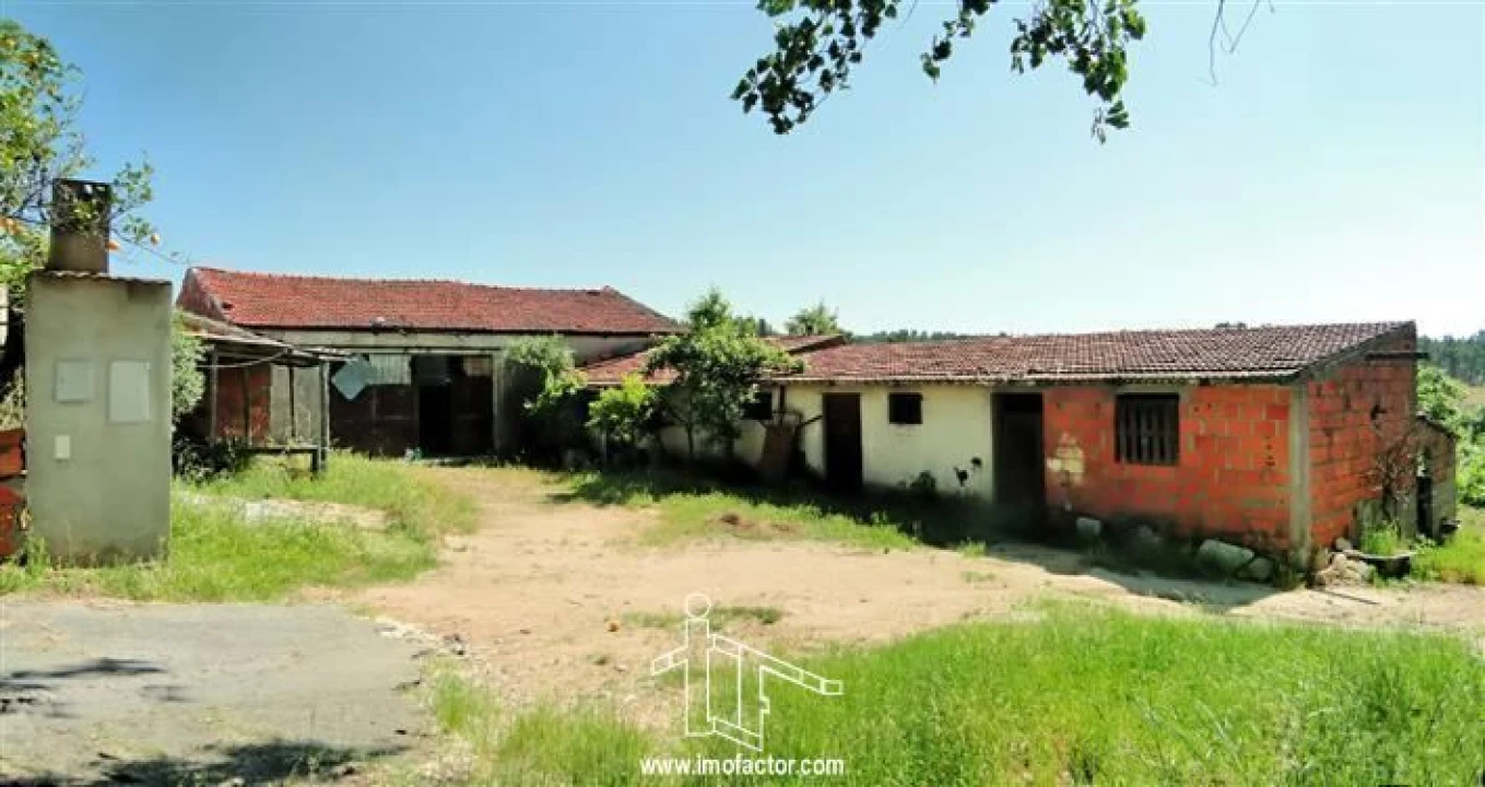 Quinta T0 para Venda em Freixial e Juncal do Campo Foto 20