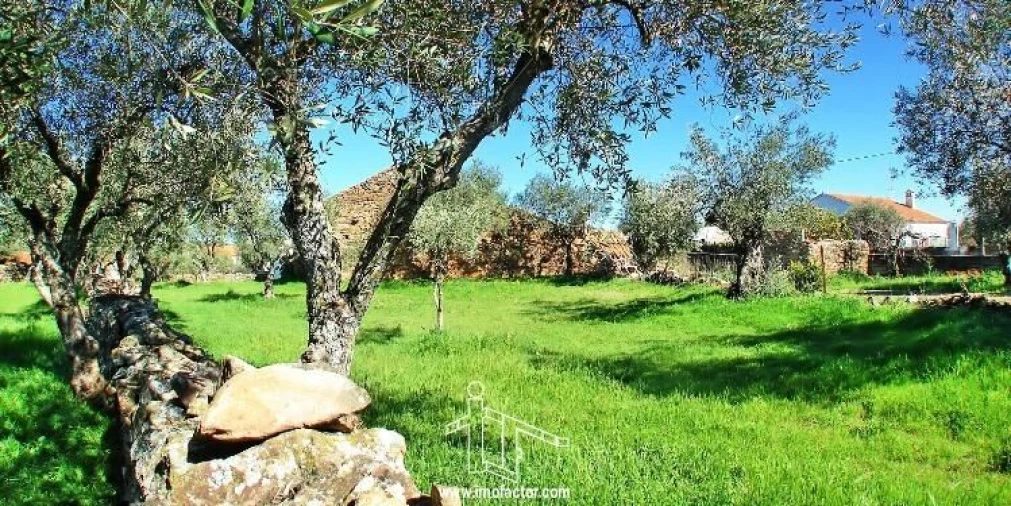 Terreno para Venda em Zebreira e Segura Foto 3