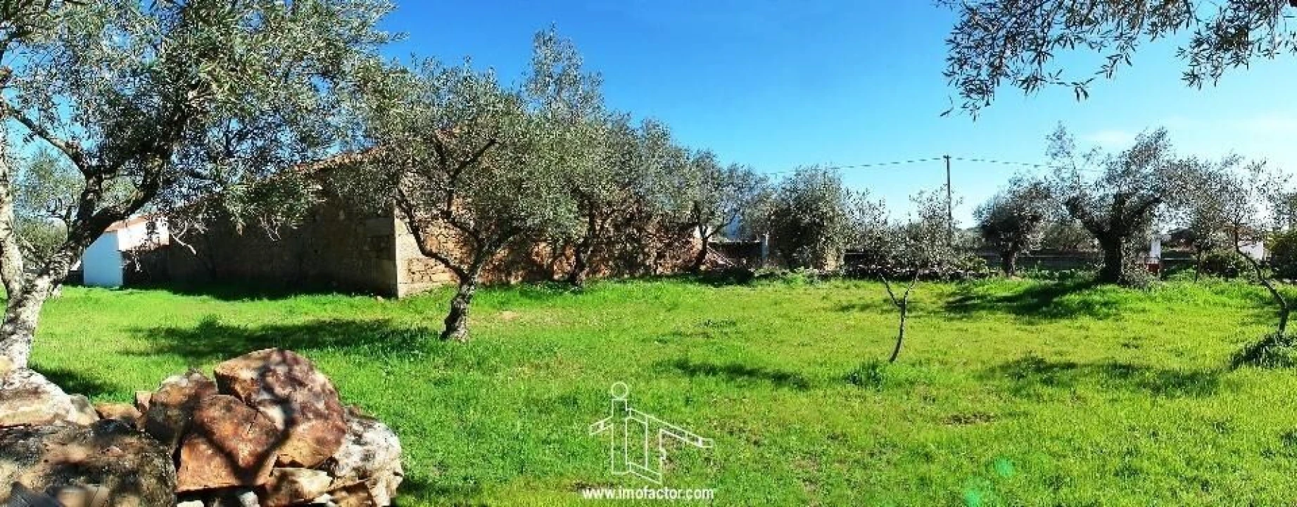 Terreno para Venda em Zebreira e Segura Foto 2
