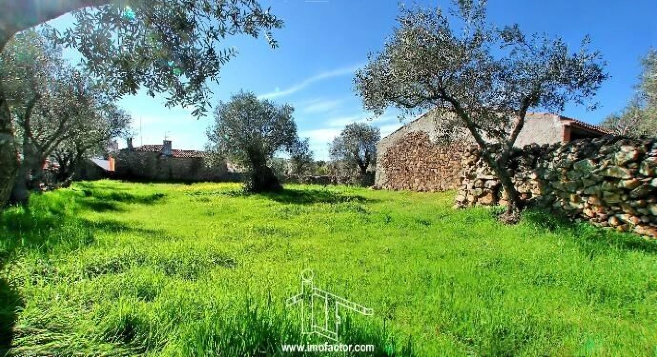 Terreno para Venda em Zebreira e Segura Foto 4