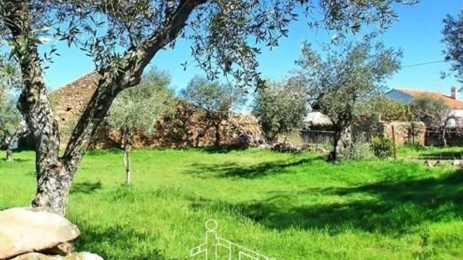 Terreno para Venda em Zebreira e Segura