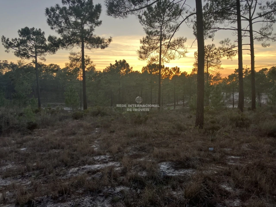 Moradia T3 para Venda em Comporta Foto 19