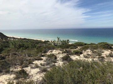 Moradia T3 para Venda em Comporta