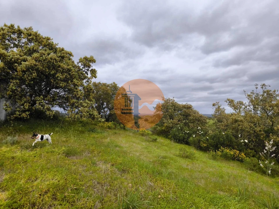 Terreno para Venda em Azinhal Foto 21