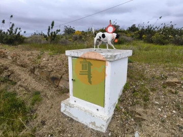 Terreno para Venda em Azinhal