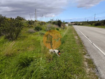 Terreno para Venda em Azinhal