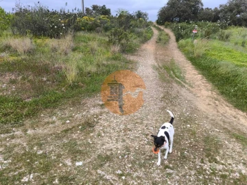 Terreno para Venda em Azinhal