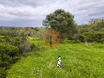 Terreno para Venda em Azinhal