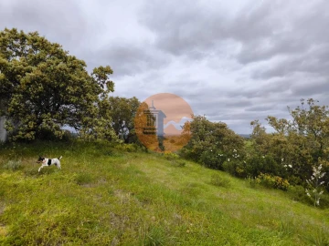 Terreno para Venda em Azinhal