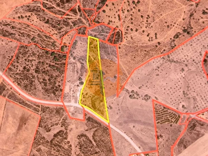 Terreno para Venda em Azinhal Foto 12