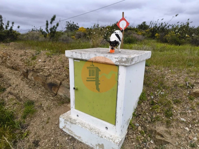 Terreno para Venda em Azinhal Foto 27