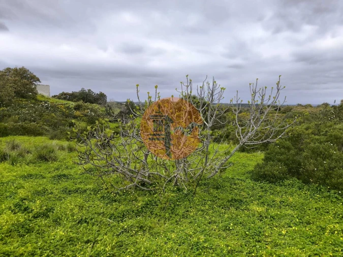 Terreno para Venda em Azinhal Foto 6