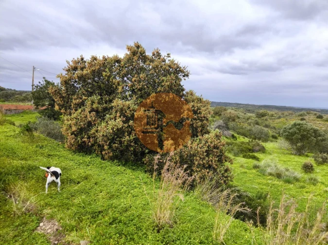 Terreno para Venda em Azinhal Foto 28