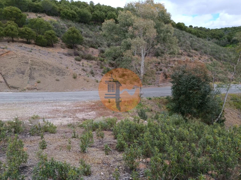 Terreno para Venda em Azinhal Foto 13