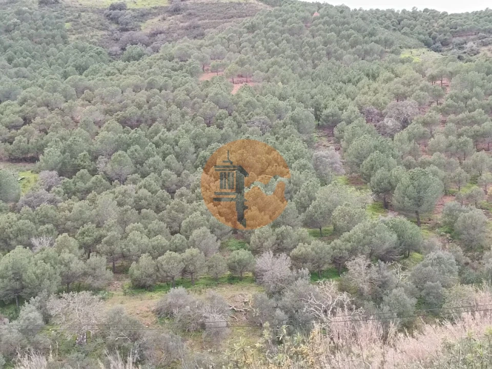 Terreno para Venda em Azinhal Foto 4