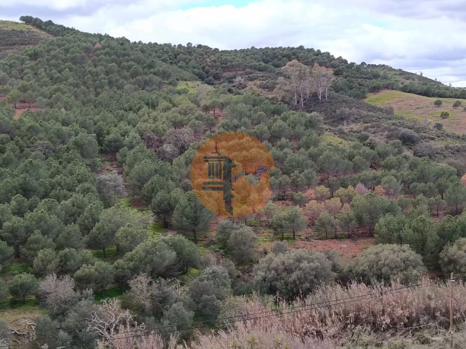Terreno para Venda em Azinhal Foto 18