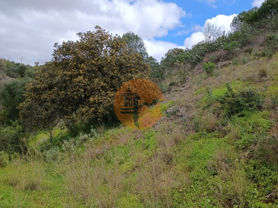 Terreno para Venda em Azinhal Foto 19