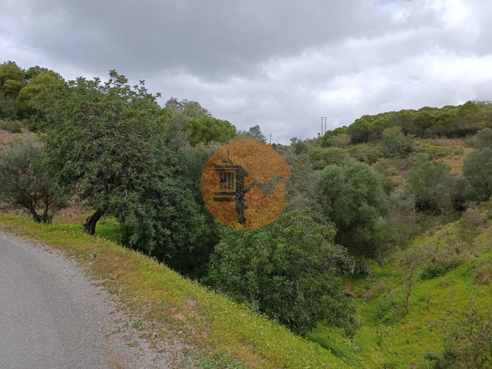 Terreno para Venda em Azinhal Foto 23