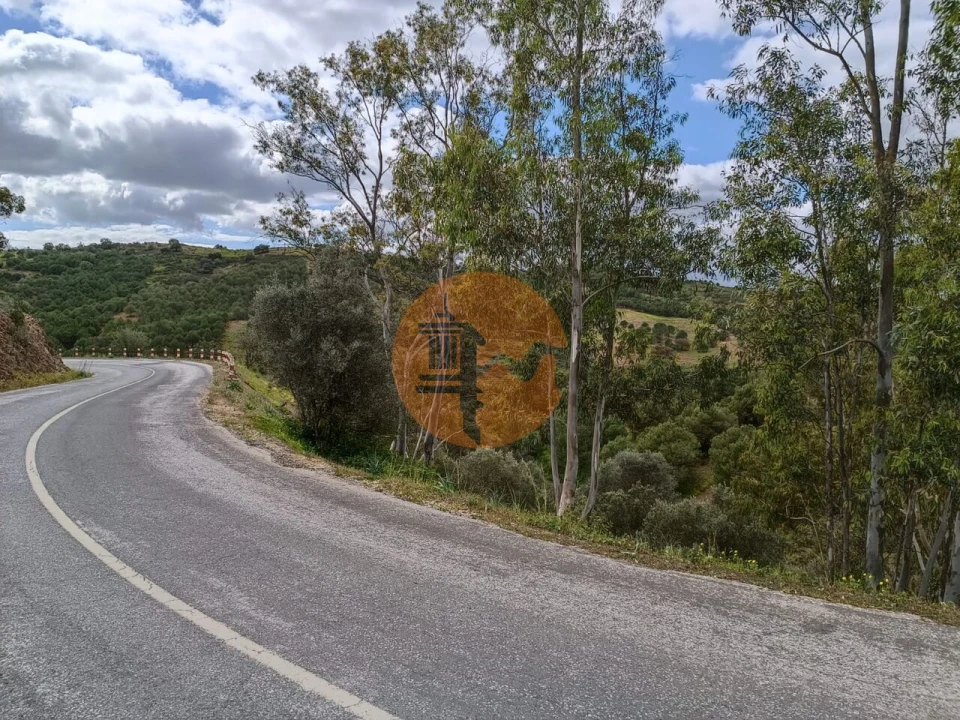Terreno para Venda em Azinhal Foto 25