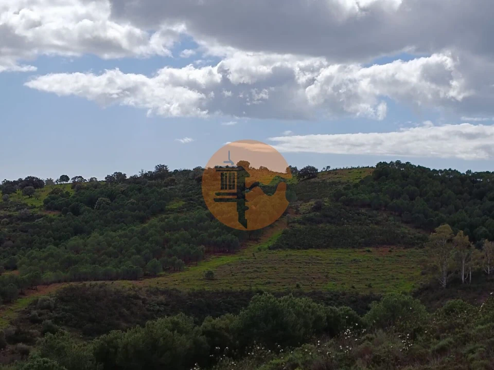 Terreno para Venda em Azinhal Foto 27