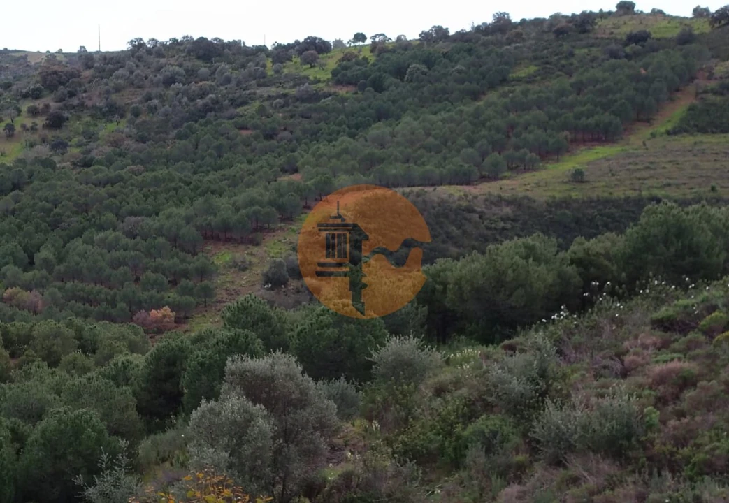 Terreno para Venda em Azinhal Foto 30