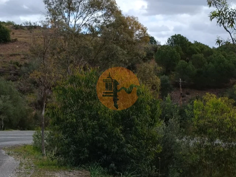 Terreno para Venda em Azinhal Foto 35