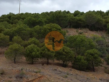 Terreno para Venda em Azinhal