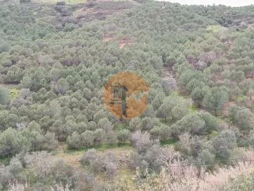 Terreno para Venda em Azinhal