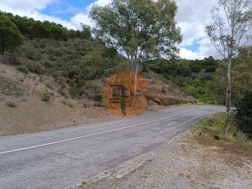 Terreno para Venda em Azinhal