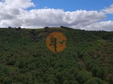 Terreno para Venda em Azinhal