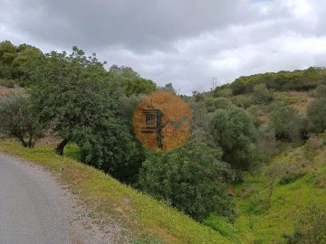 Terreno para Venda em Azinhal