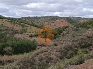 Terreno para Venda em Azinhal