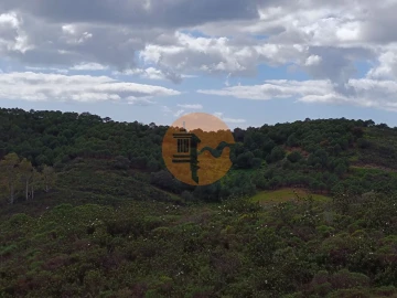 Terreno para Venda em Azinhal