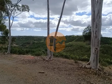Terreno para Venda em Azinhal