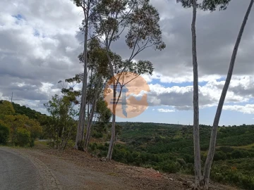 Terreno para Venda em Azinhal