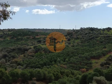 Terreno para Venda em Azinhal