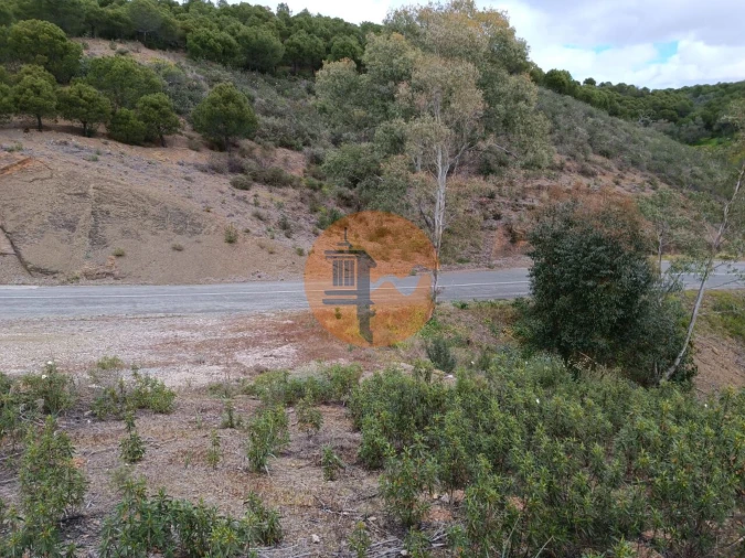 Terreno para Venda em Azinhal Foto 13