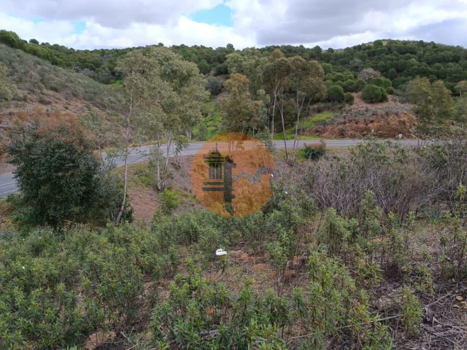 Terreno para Venda em Azinhal Foto 17