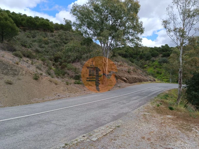 Terreno para Venda em Azinhal Foto 21