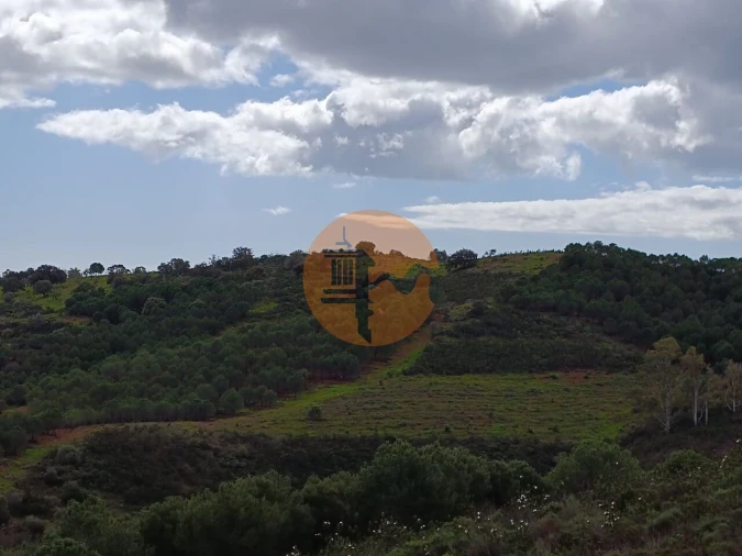 Terreno para Venda em Azinhal Foto 27