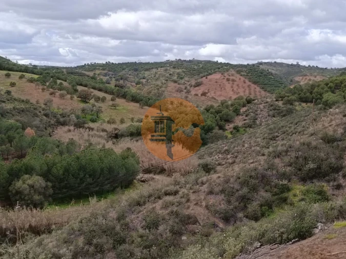 Terreno para Venda em Azinhal Foto 28