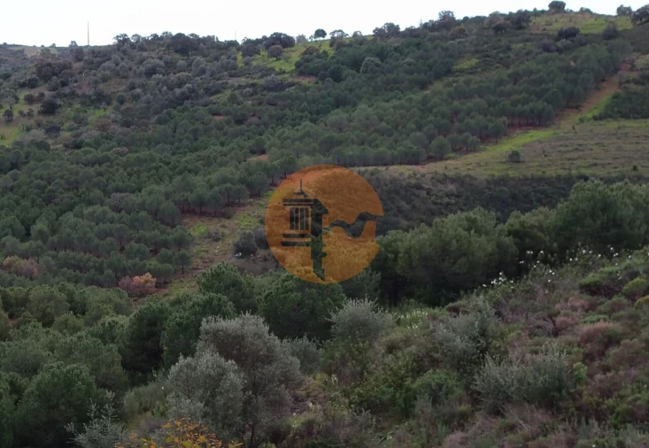 Terreno para Venda em Azinhal Foto 30