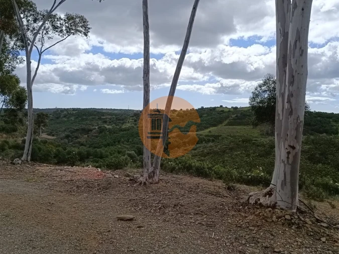 Terreno para Venda em Azinhal Foto 31