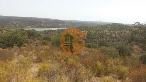 Terreno para Venda em Alcoutim e Pereiro