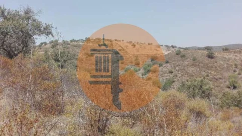 Terreno para Venda em Alcoutim e Pereiro