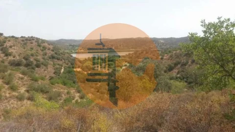 Terreno para Venda em Alcoutim e Pereiro