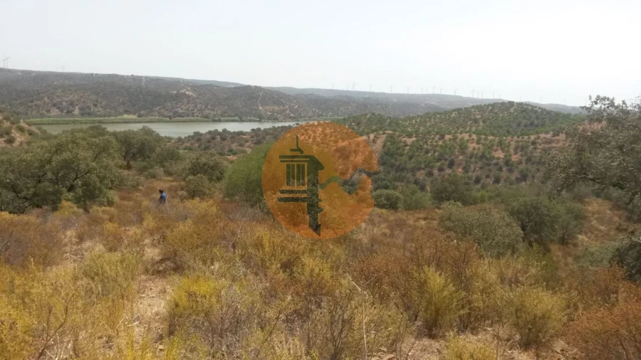 Terreno para Venda em Alcoutim e Pereiro Foto 3