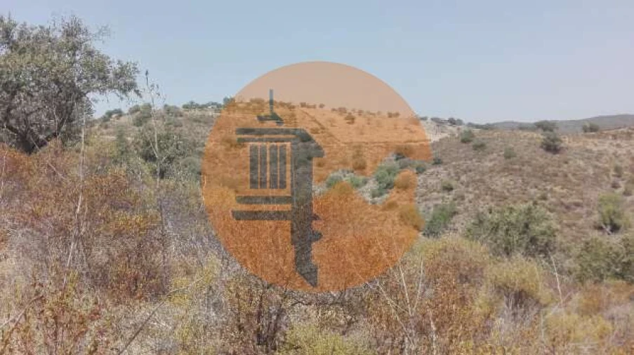 Terreno para Venda em Alcoutim e Pereiro Foto 4